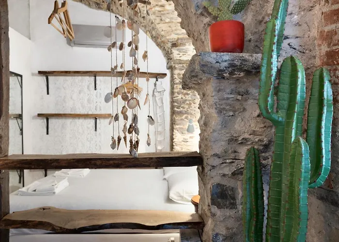 Green Cactus House