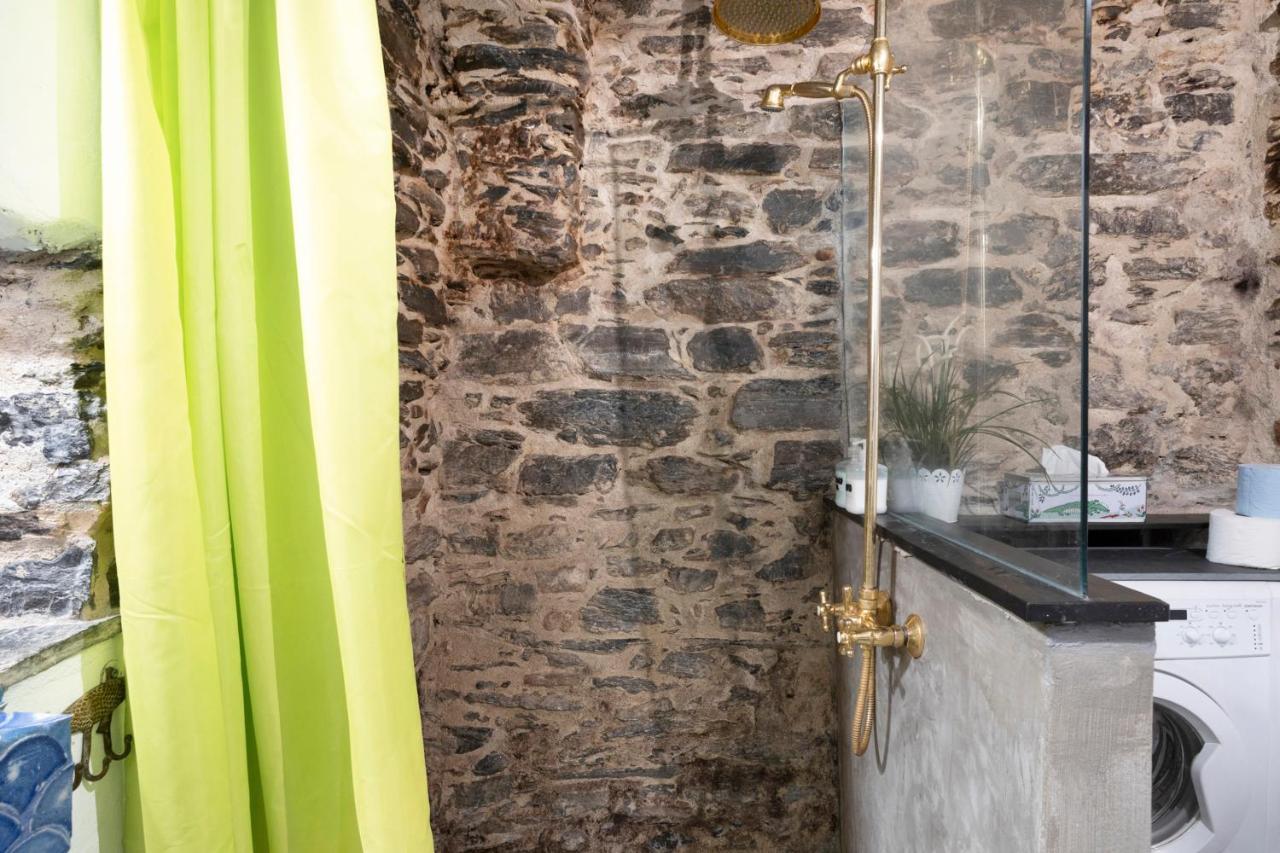 Cactus House Appartement