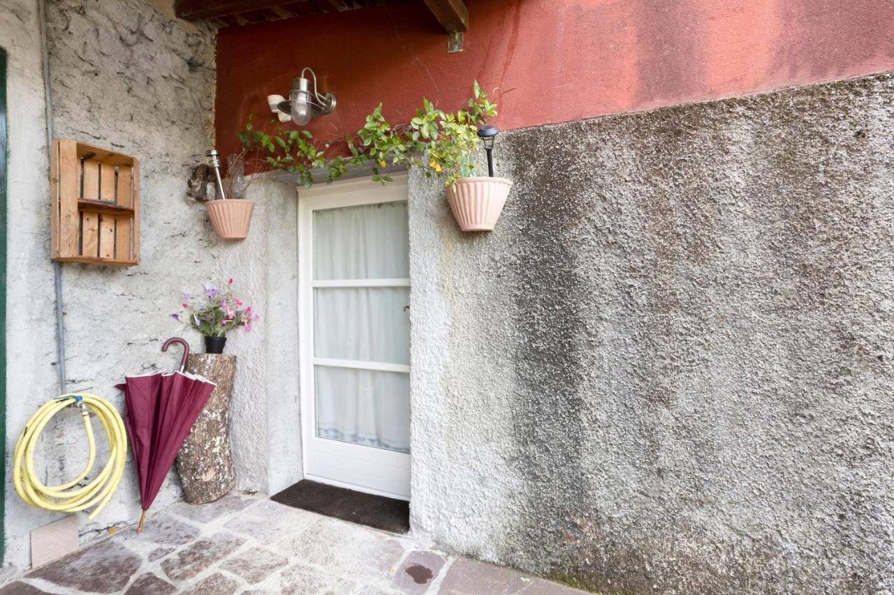 Cactus House Appartement *