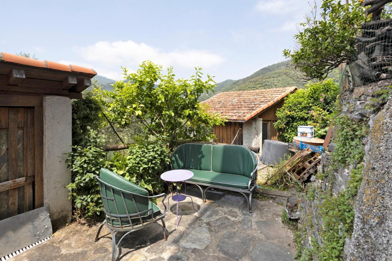 Cactus House